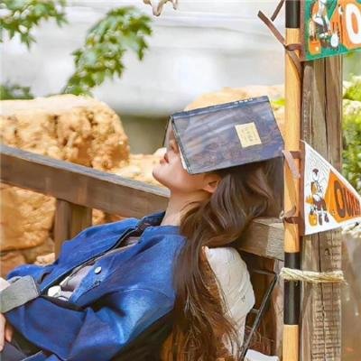 美国派:高潮再起