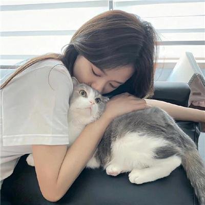 高兴逮笨贼